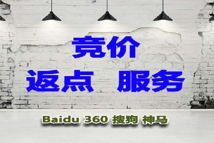 某行业SEM投放效果显著案例分享